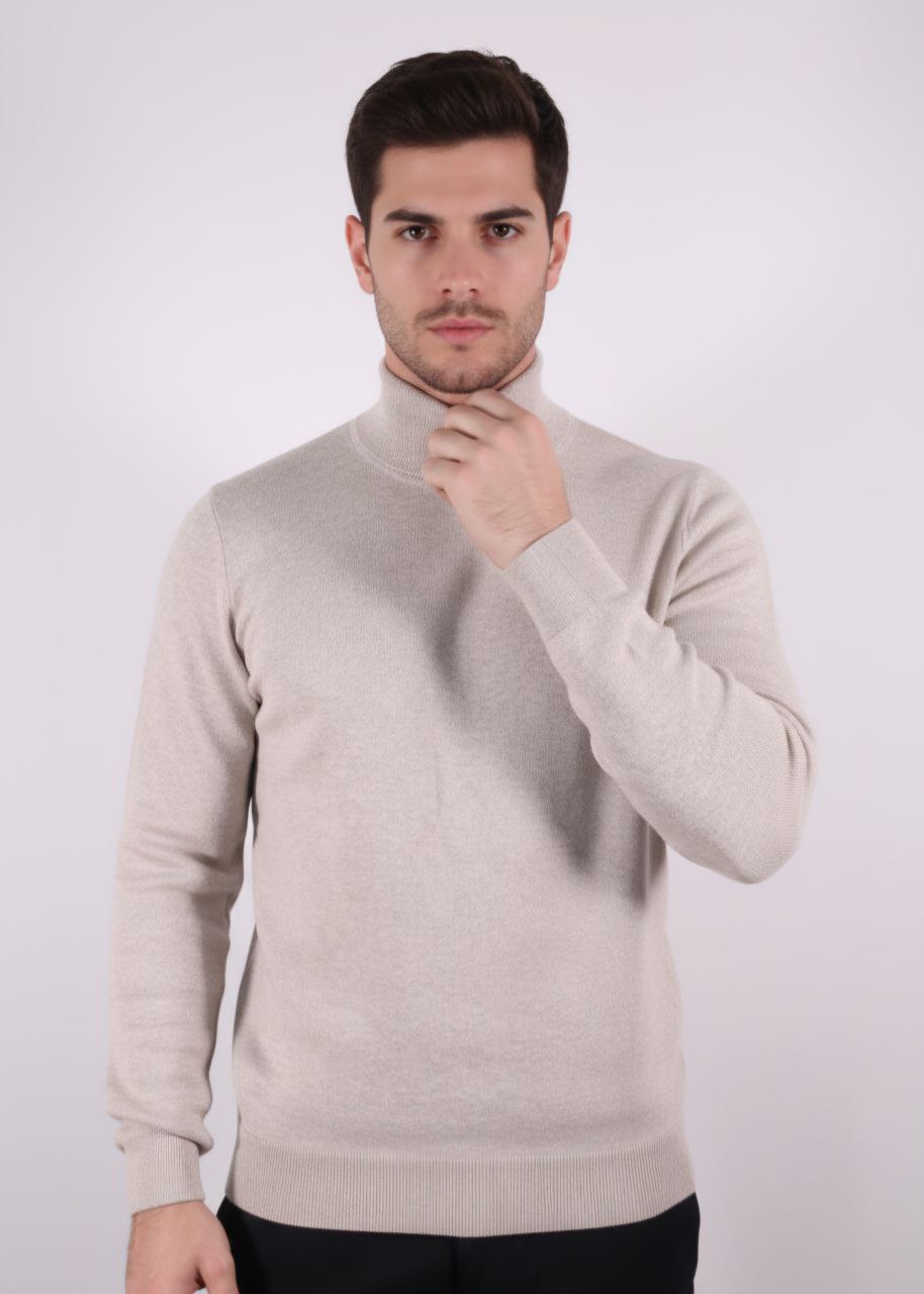 Beige Basic Turtle-Neck Knit Sweater - Turtleneck Tops at Flamingo Fits