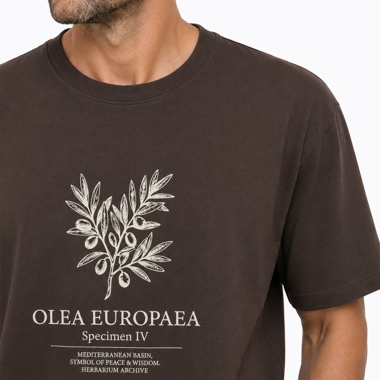 Brown olea europaea graphic tshirt in brown | Flamingo Fits