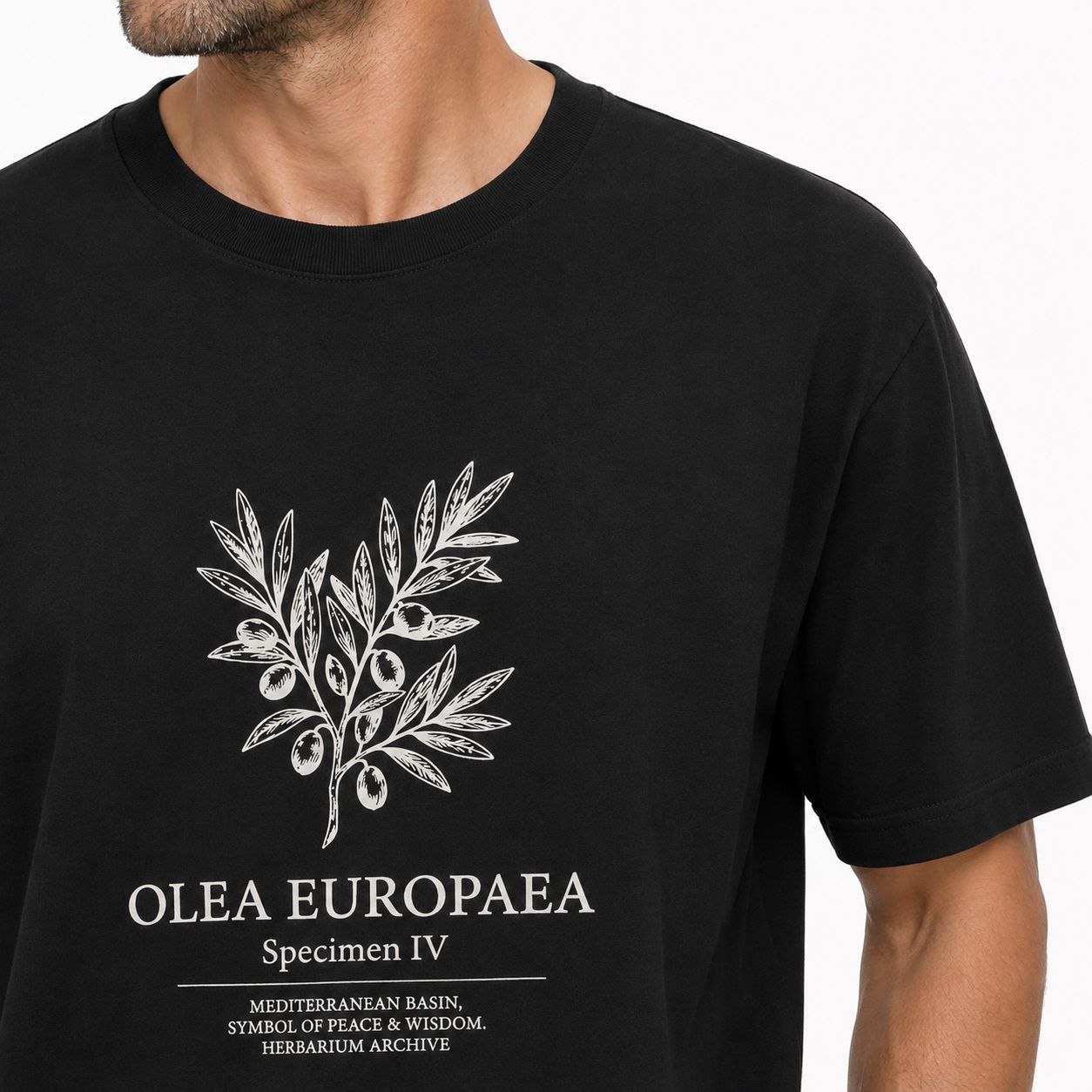 Black olea europaea graphic tshirt in black | Flamingo Fits