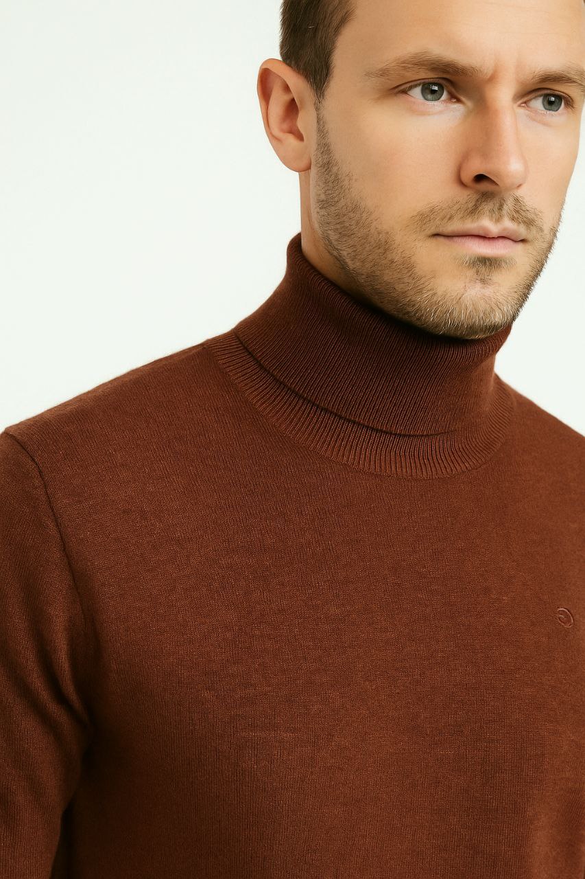 Brick Basic Turtle-Neck Knit Sweater